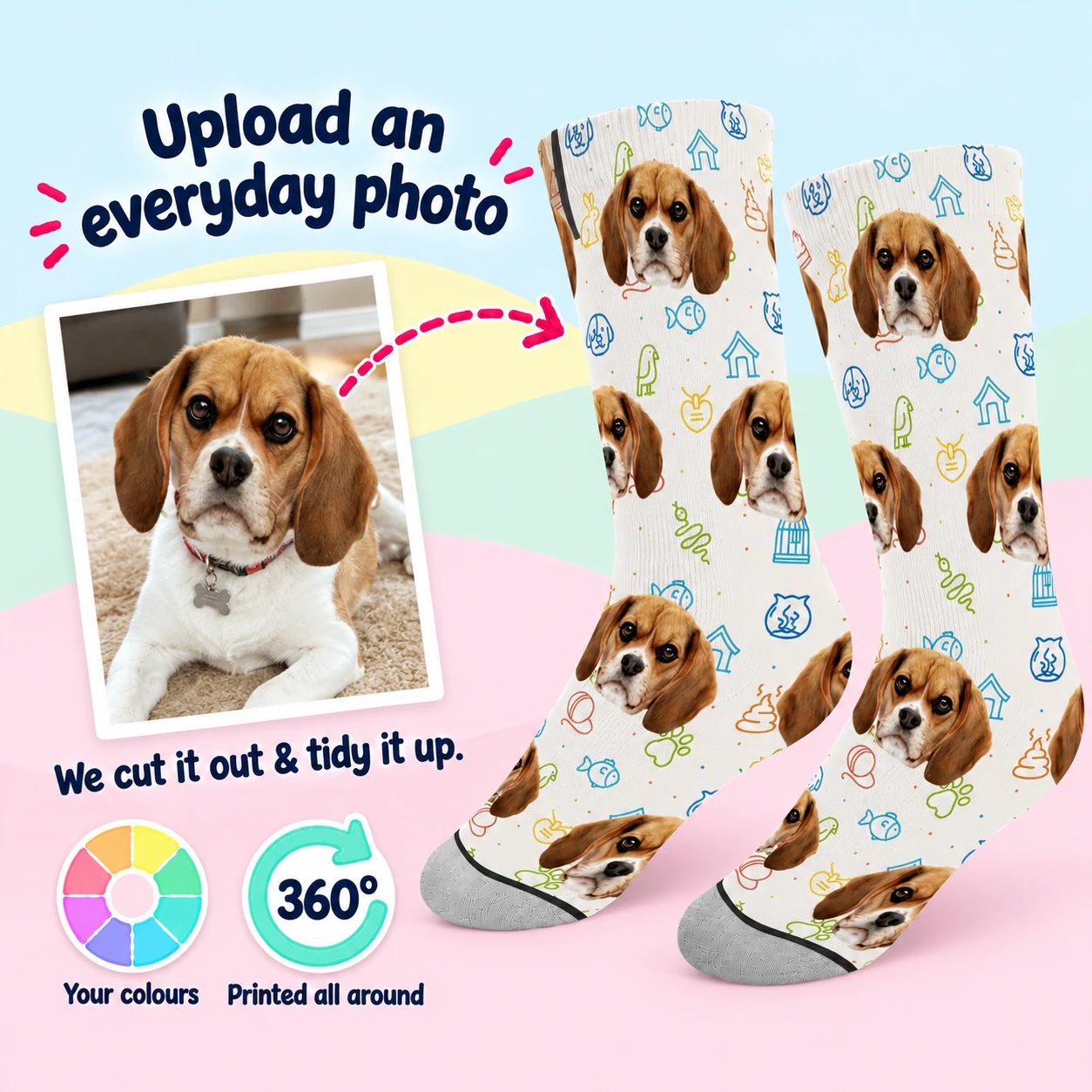 My Pet Socks (Rainbow)